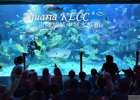 吉隆坡 水族館